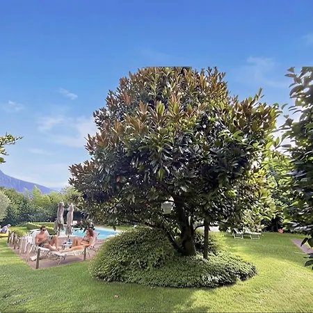 Regina Di Apartment Dongo