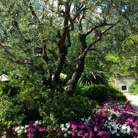 Regina Di דירה