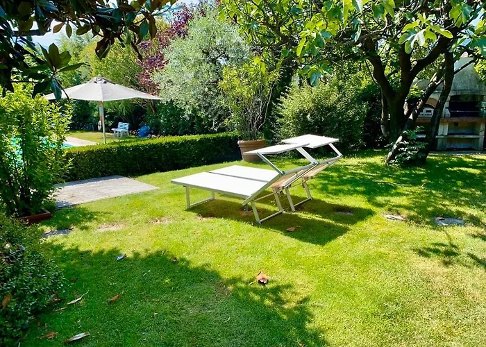 Regina Di דונגו