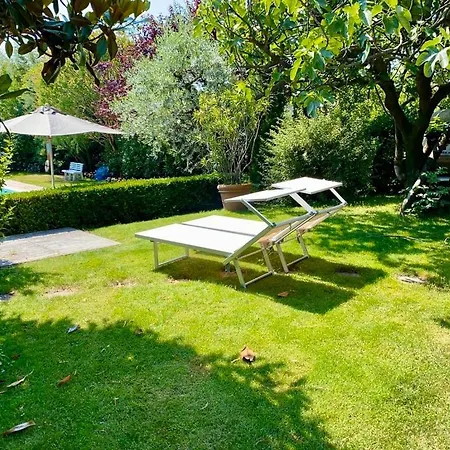 Regina Di דונגו