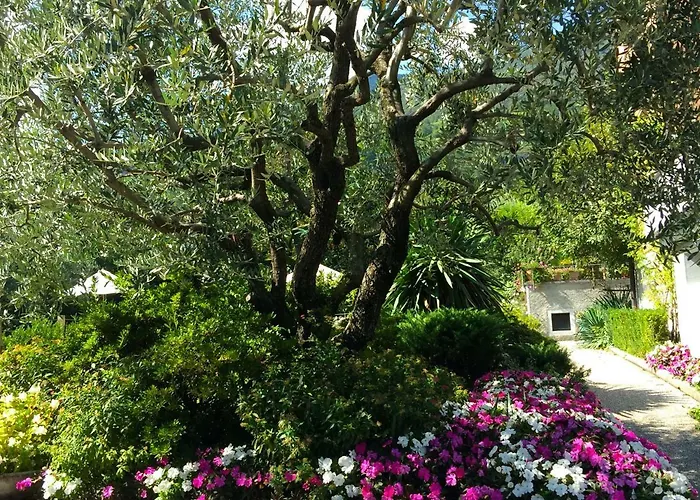 Regina Di Apartamento